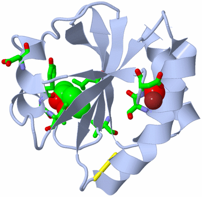 Image Biol. Unit 1 - sites