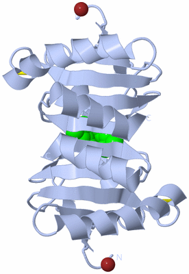 Image Biological Unit 3