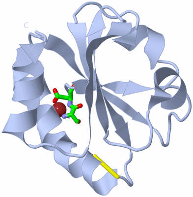 Image Biol. Unit 1 - sites