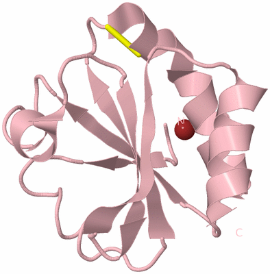 Image Biological Unit 3