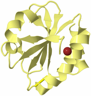 Image Biological Unit 4