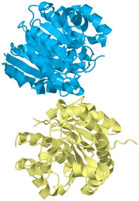 Image Biological Unit 3