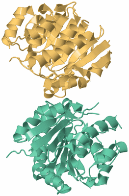 Image Biological Unit 5