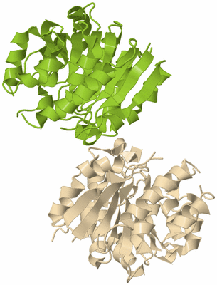 Image Biological Unit 6