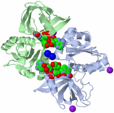 Image Asym./Biol. Unit