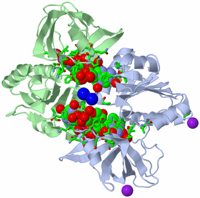 Image Asym./Biol. Unit - sites