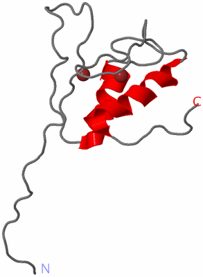 Image NMR Structure - model 1