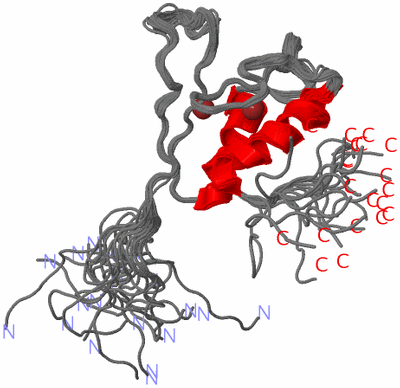 Image NMR Structure - all models