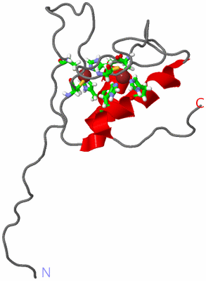 Image NMR Structure - model 1, sites