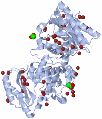 Image Biological Unit 1