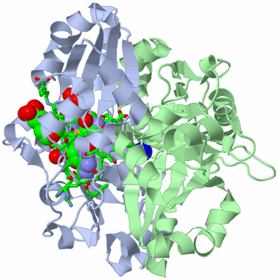 Image Asym./Biol. Unit - sites