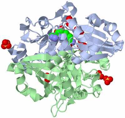 Image Asym./Biol. Unit