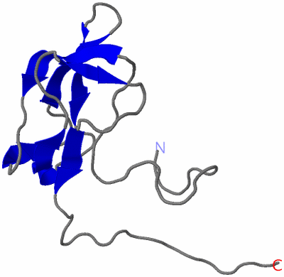 Image NMR Structure - model 1