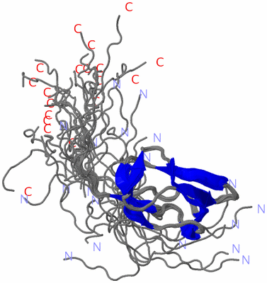 Image NMR Structure - all models