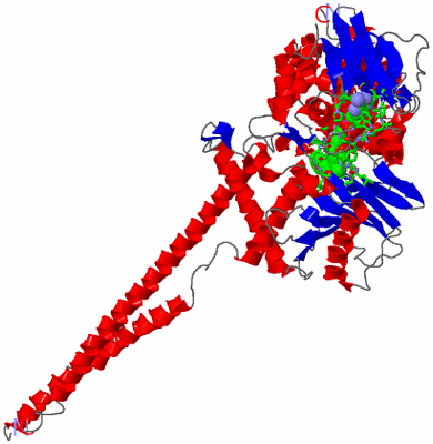 Image Asym./Biol. Unit - sites