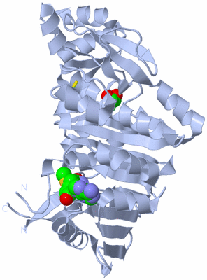 Image Biological Unit 1