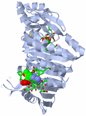 Image Biol. Unit 1 - sites