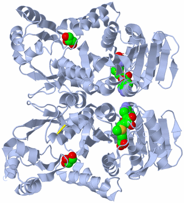 Image Biological Unit 2