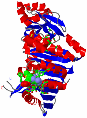 Image Asym. Unit - sites