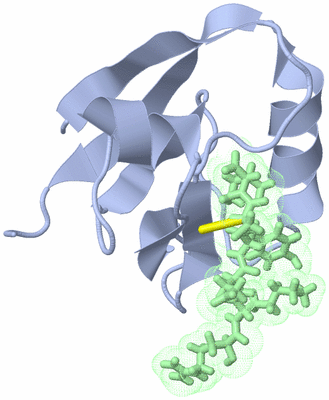 Image NMR Structure - model 1