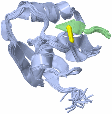 Image NMR Structure - all models