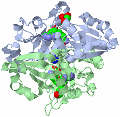 Image Biological Unit 1