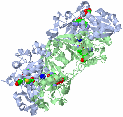 Image Biological Unit 2