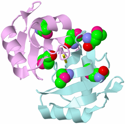 Image Biological Unit 3