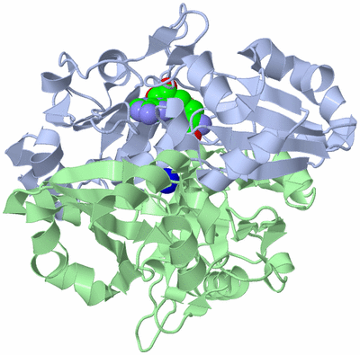 Image Asym./Biol. Unit