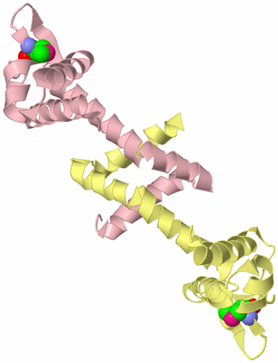 Image Biological Unit 2