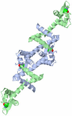 Image Biological Unit 3