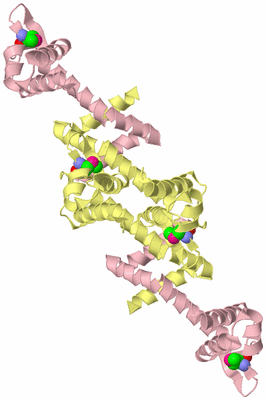 Image Biological Unit 4