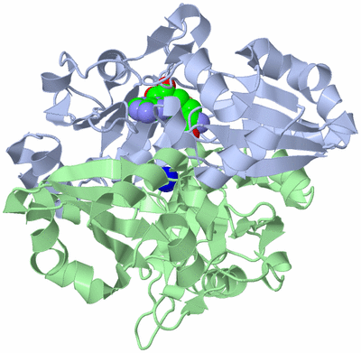 Image Asym./Biol. Unit