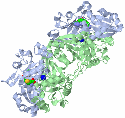 Image Biological Unit 2