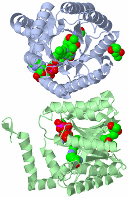 Image Biological Unit 1