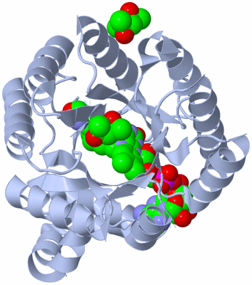 Image Biological Unit 2