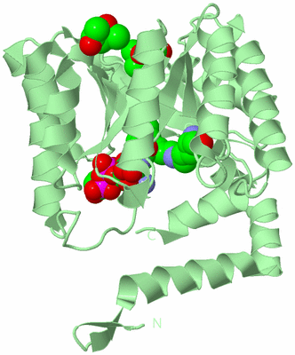 Image Biological Unit 3