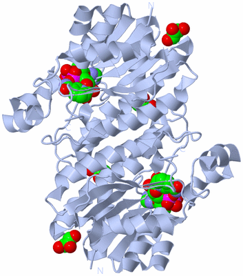 Image Biological Unit 3