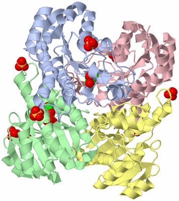 Image Biological Unit 1