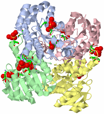 Image Biol. Unit 1 - sites