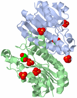 Image Biological Unit 2