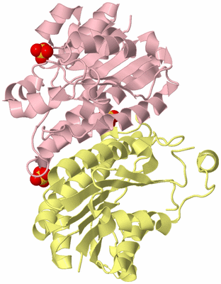 Image Biological Unit 3