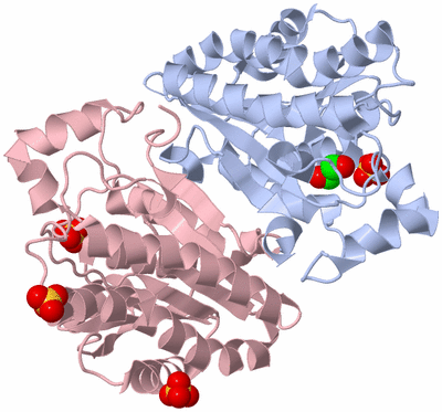 Image Biological Unit 4