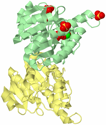 Image Biological Unit 5