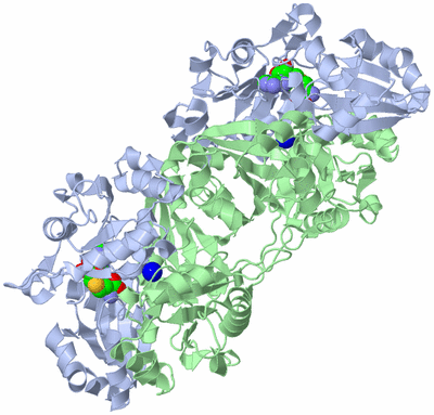 Image Biological Unit 2