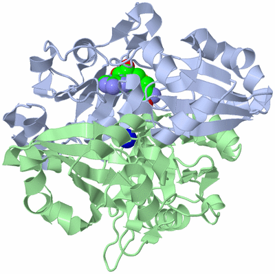 Image Asym./Biol. Unit