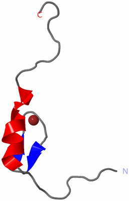 Image NMR Structure - model 1