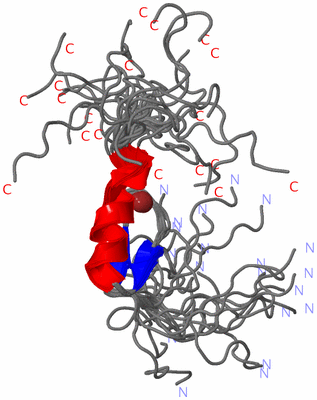 Image NMR Structure - all models