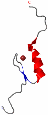 Image NMR Structure - model 1