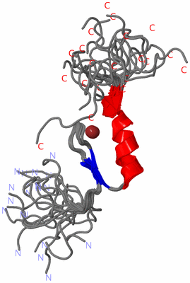 Image NMR Structure - all models